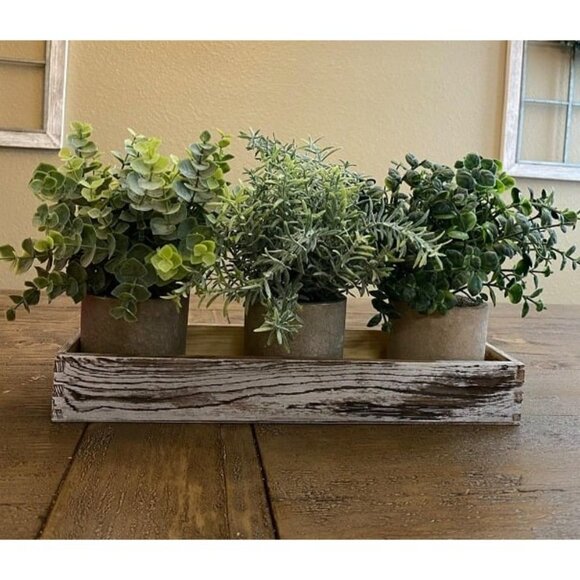 New Set of 3 Mini Potted Artificial Eucalyptus Plants Faux Rosemary Plant - Picture 1 of 2